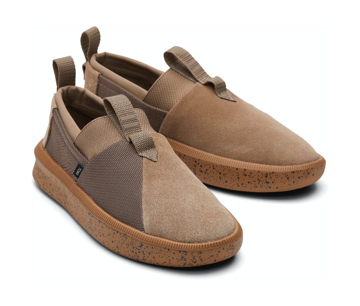 TOMS Rover shoes